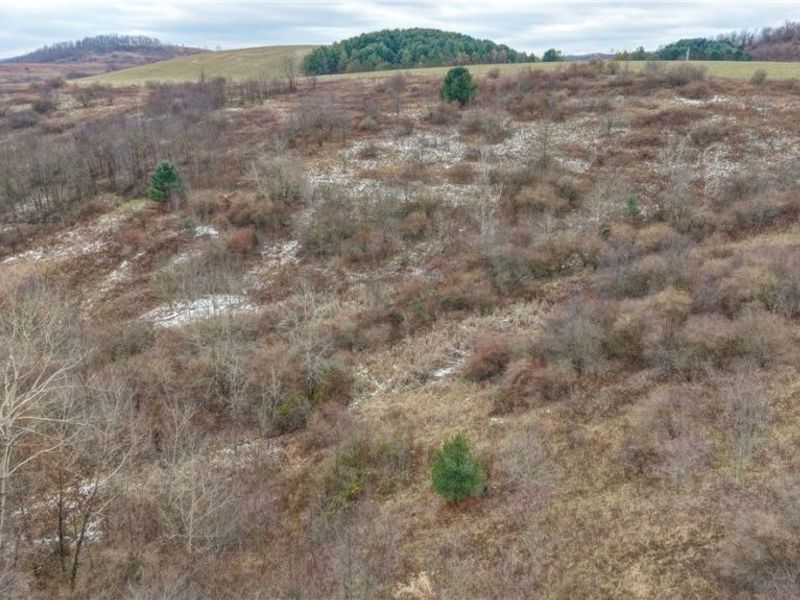 56461 State Route 541, Kimbolton, OH 43845 Photo 26