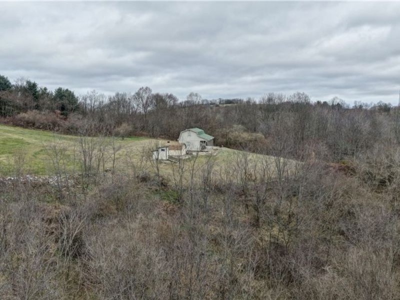 56461 State Route 541, Kimbolton, OH 43845 Photo 27