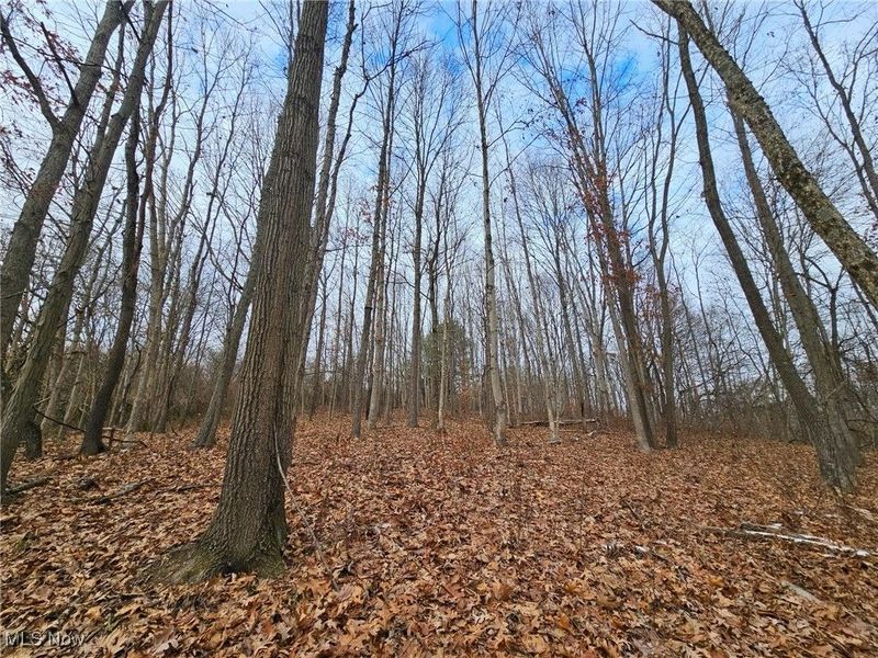 56461 State Route 541, Kimbolton, OH 43845 Photo 4