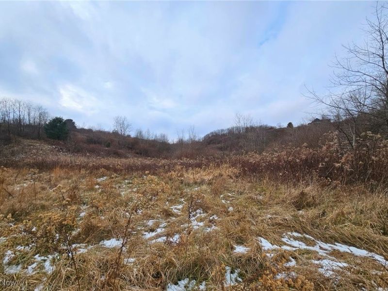 56461 State Route 541, Kimbolton, OH 43845 Photo 9