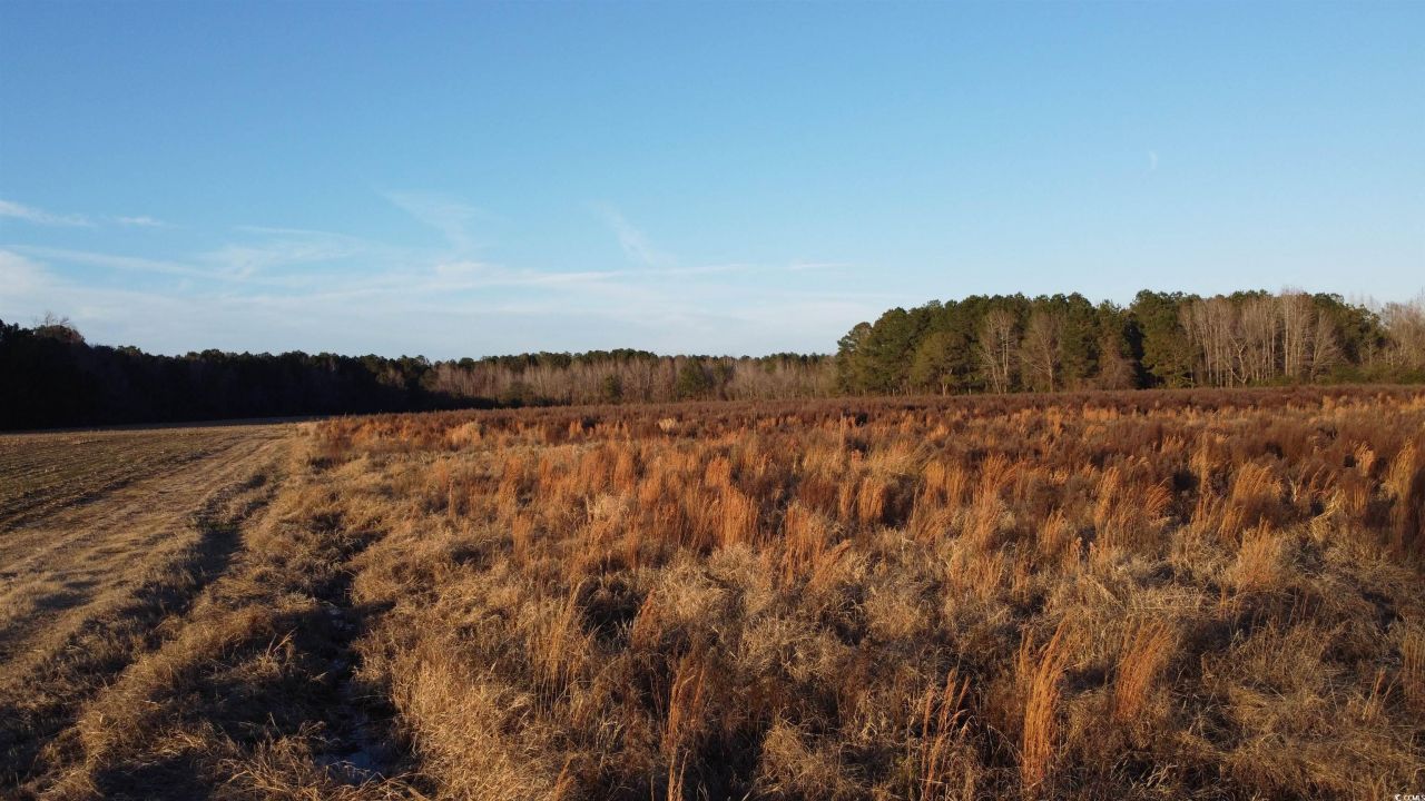 5441 Carolina Rd.  Photo 7