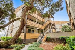 9501 Shore Dr. photo 4