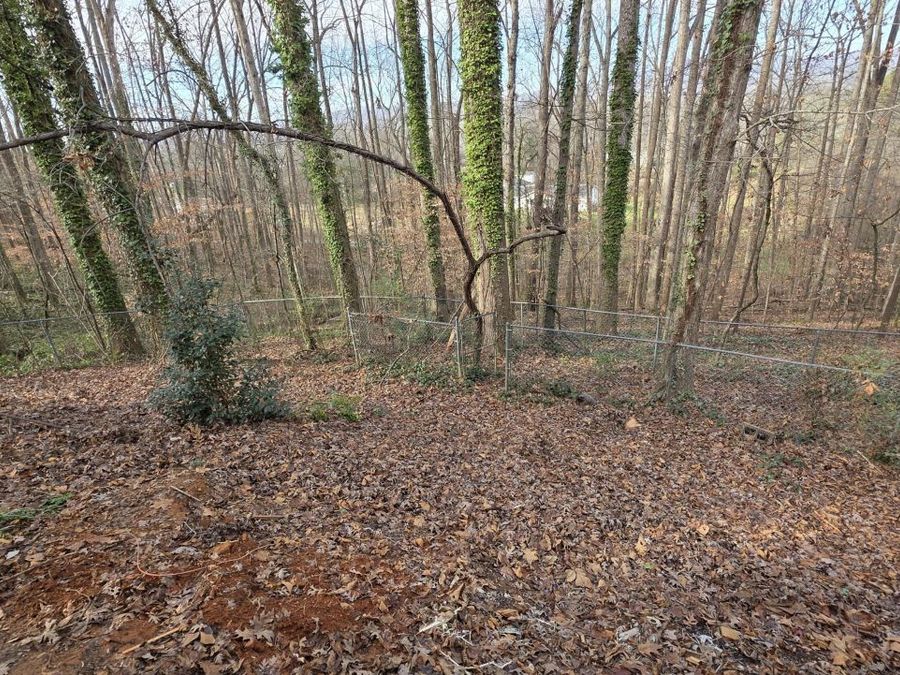 Property Image 58