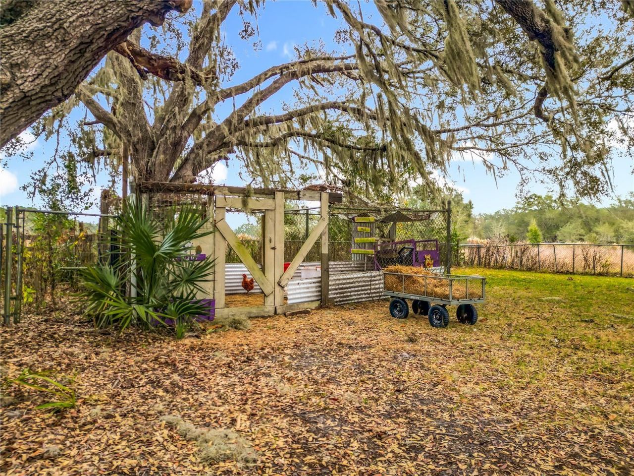 12521 SW Highway 484, Dunnellon, FL 34432 Photo