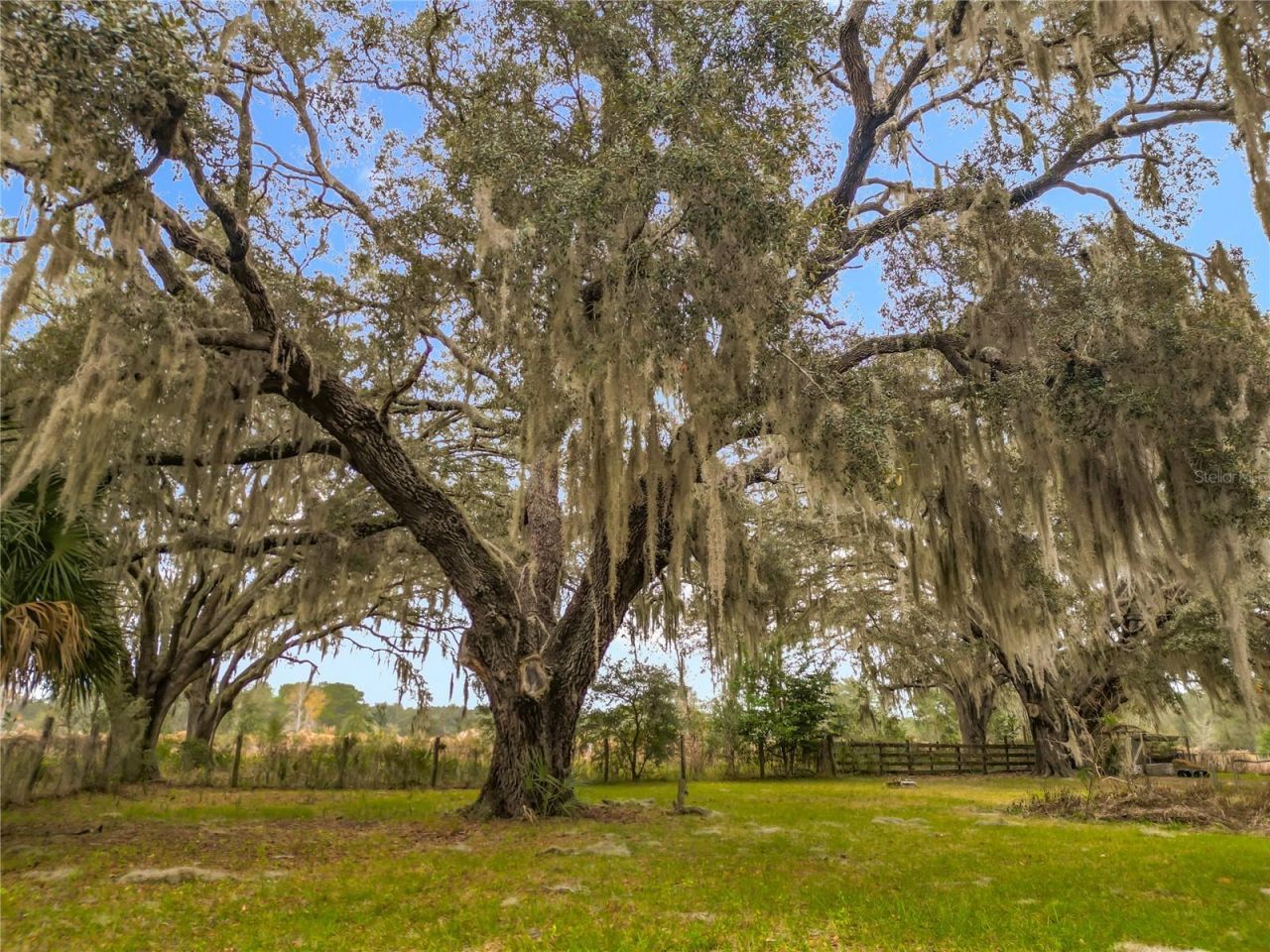 12521 SW Highway 484, Dunnellon, FL 34432 Photo