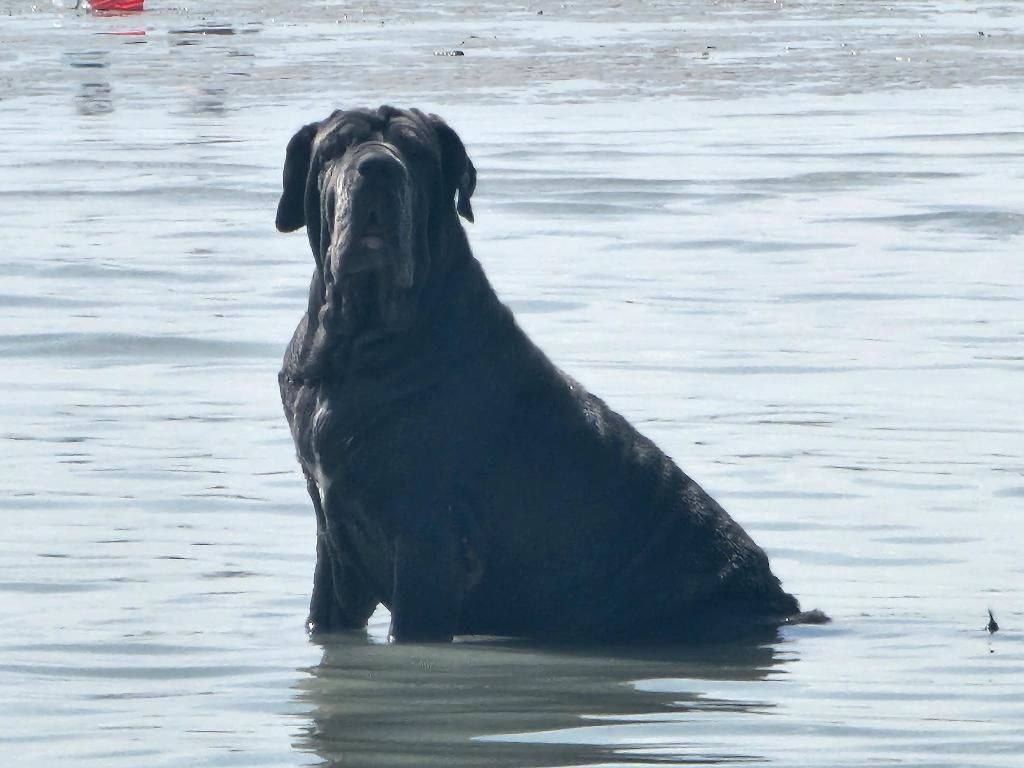 2762 SW Matheson Avenue, Unit 111-A2, Palm City, FL 34990 Photo