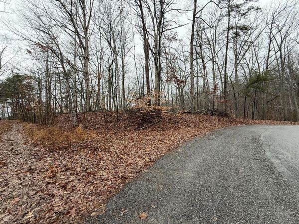 Lot #845 Stoneway Court, White Pine, TN 37890