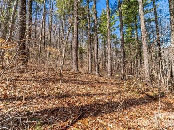 99999 Mill Road, Asheville, NC 28805