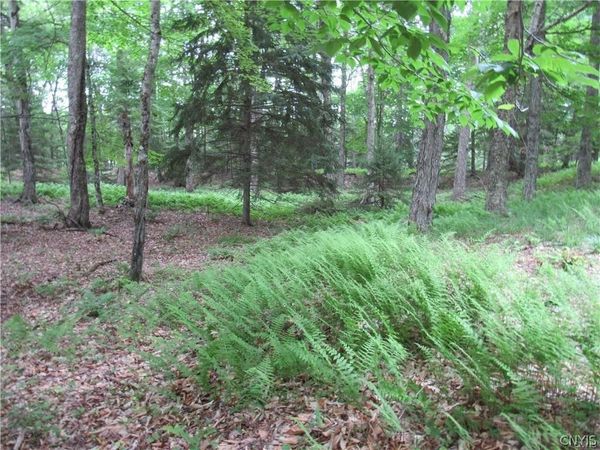Tamarack Drive, Old Forge, NY 13420