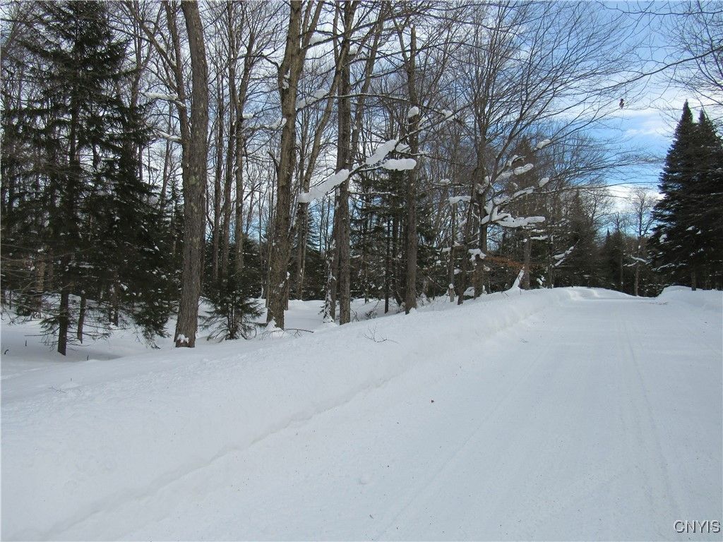 Tamarack Drive, Old Forge, NY 13420 Main Photo