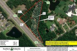 International Dr.  photo 4