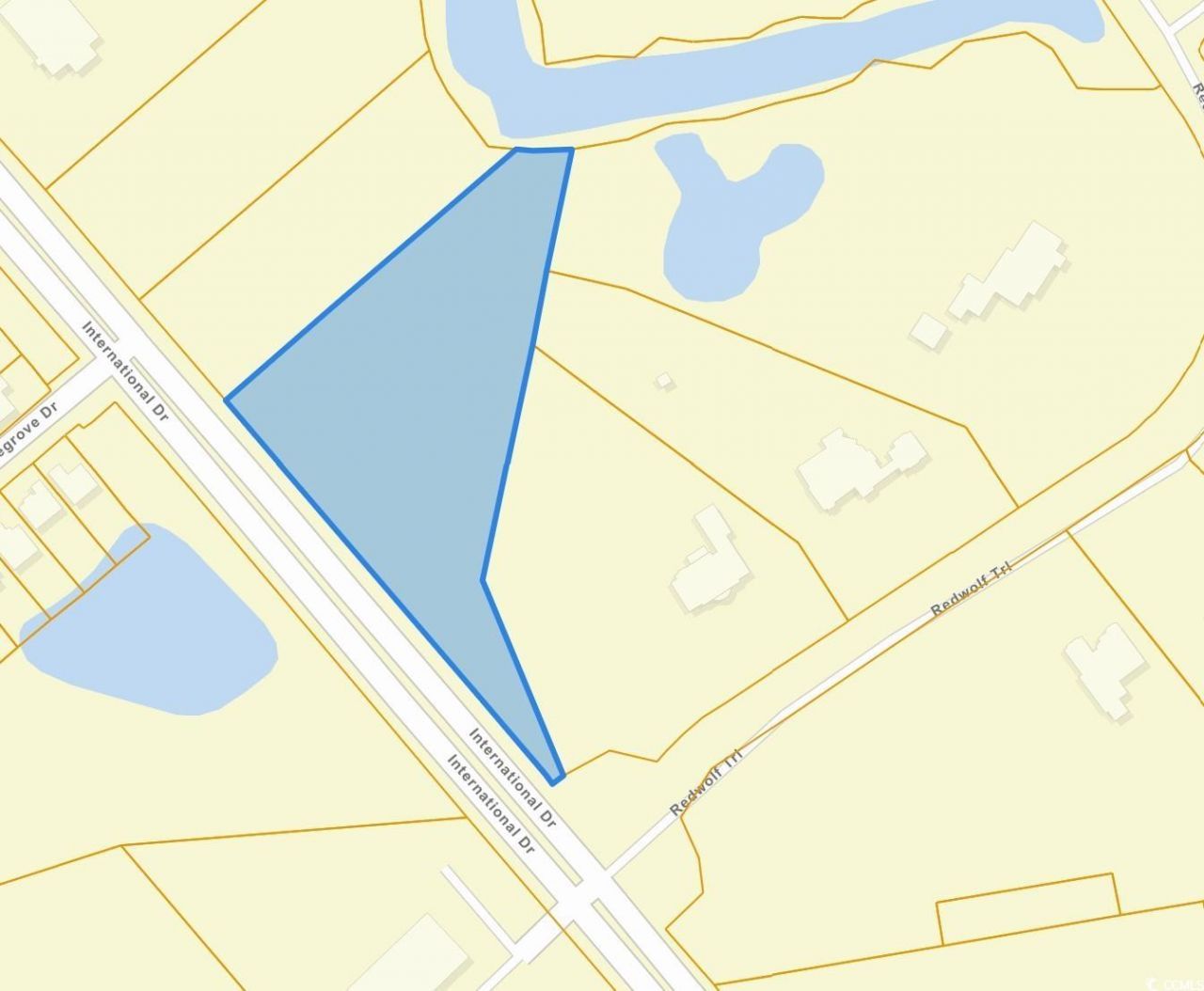 International Dr.  Photo 4