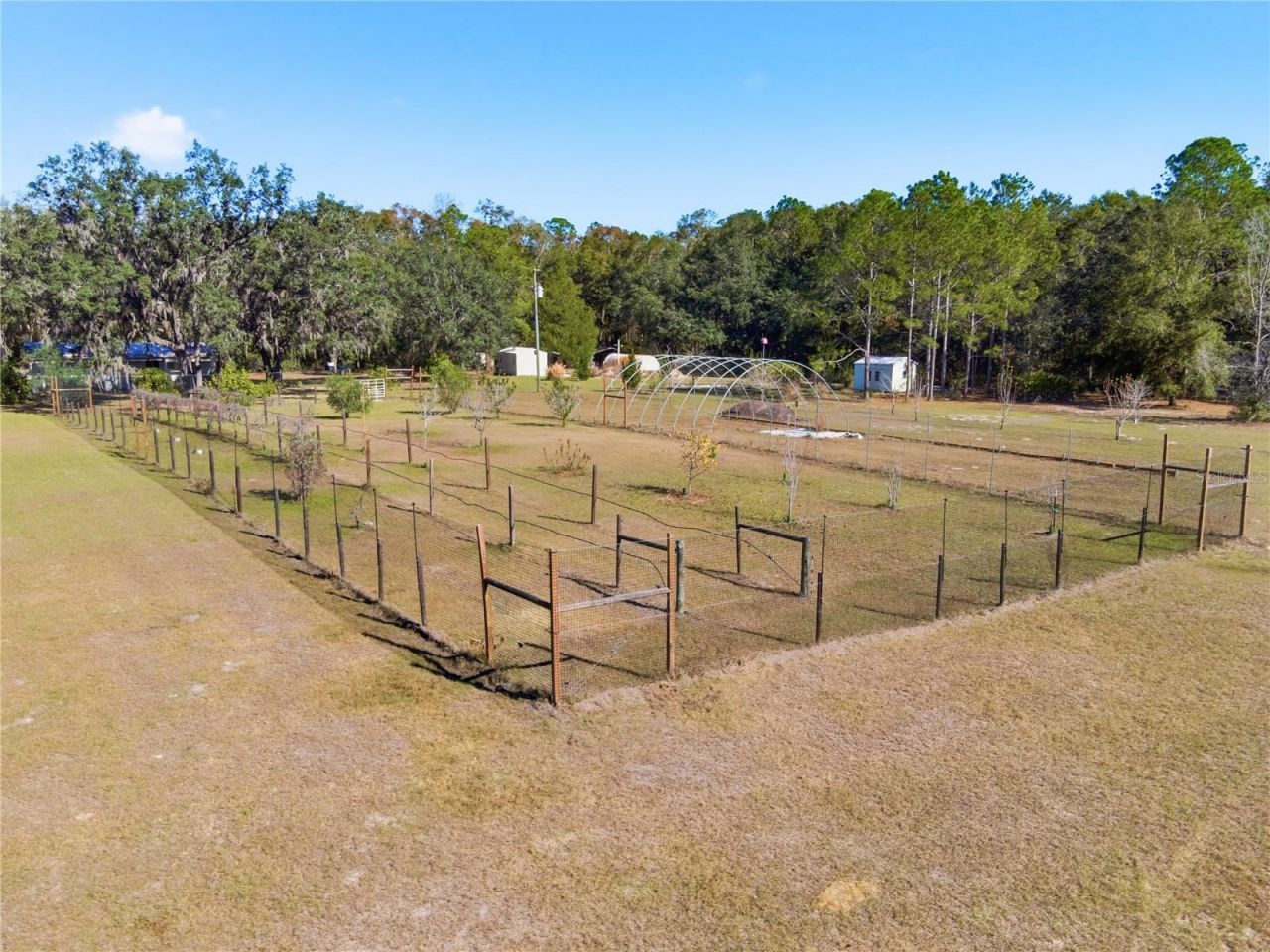 1349 SW 27th Place, Bell, FL 32619 Photo