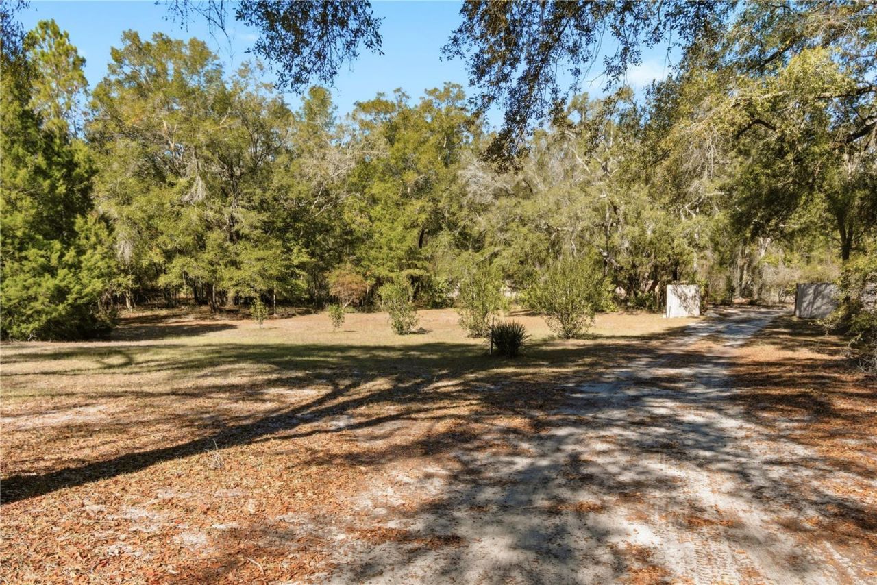 1349 SW 27th Place, Bell, FL 32619 Photo