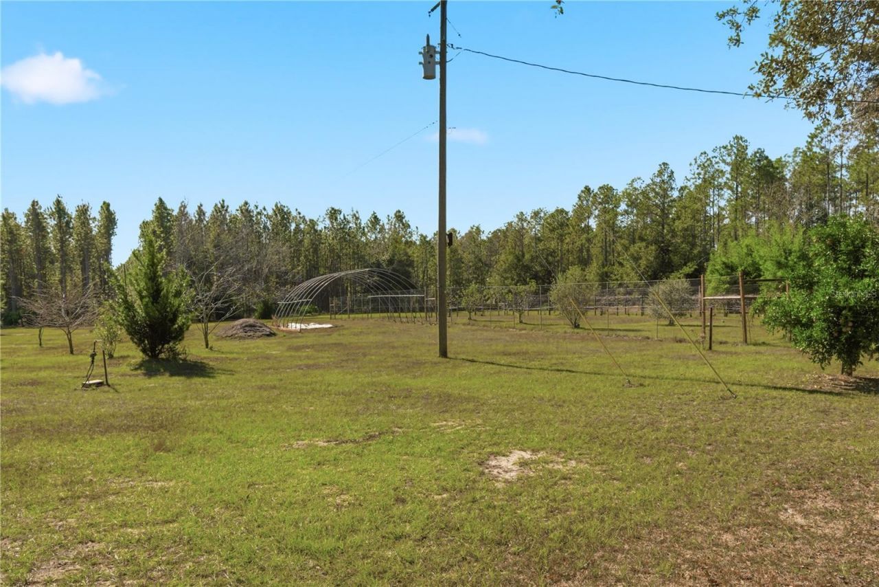 1349 SW 27th Place, Bell, FL 32619 Photo