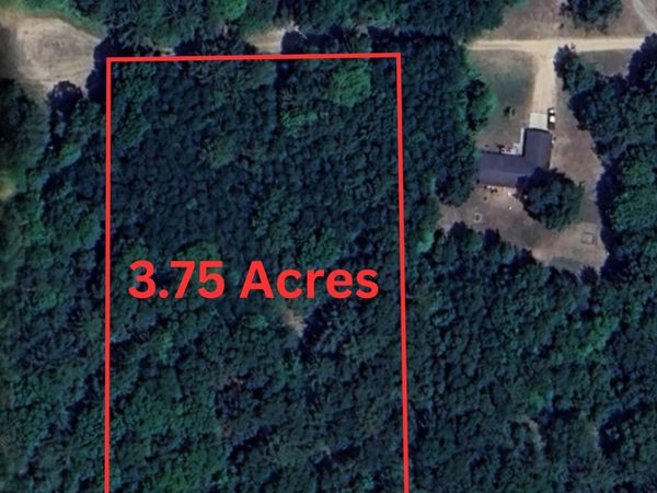 3.75 Acres Wayne Road, Pentwater, MI 49449