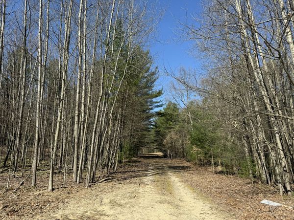 3.75 Acres Wayne Road, Pentwater, MI 49449