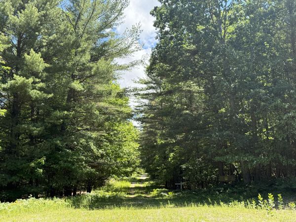 3.75 Acres Wayne Road, Pentwater, MI 49449