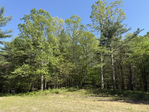 3.75 Acres Wayne Road, Pentwater, MI 49449
