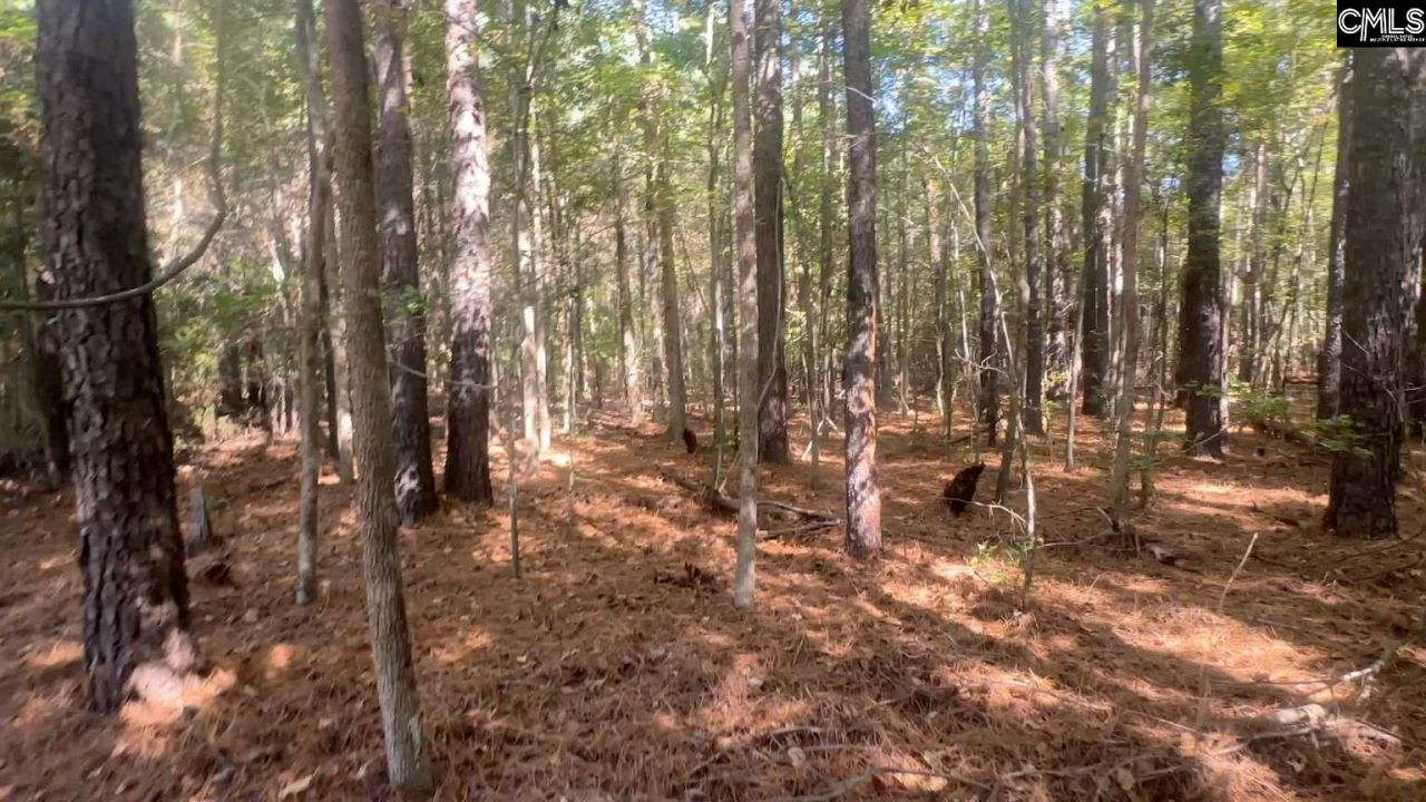 0 W Brewington Road Photo 6