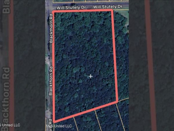 0 Will Stutely Drive, Brandon, MS 39042