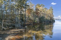 0 Adventure Bay photo 4