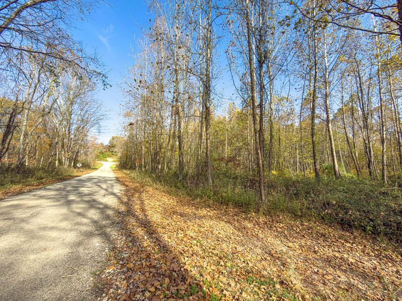 00 Hawk Station Road, Vinton, OH 45686 Photo 7