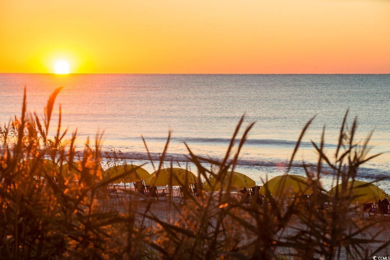 406 63rd Ave. N Photo 14