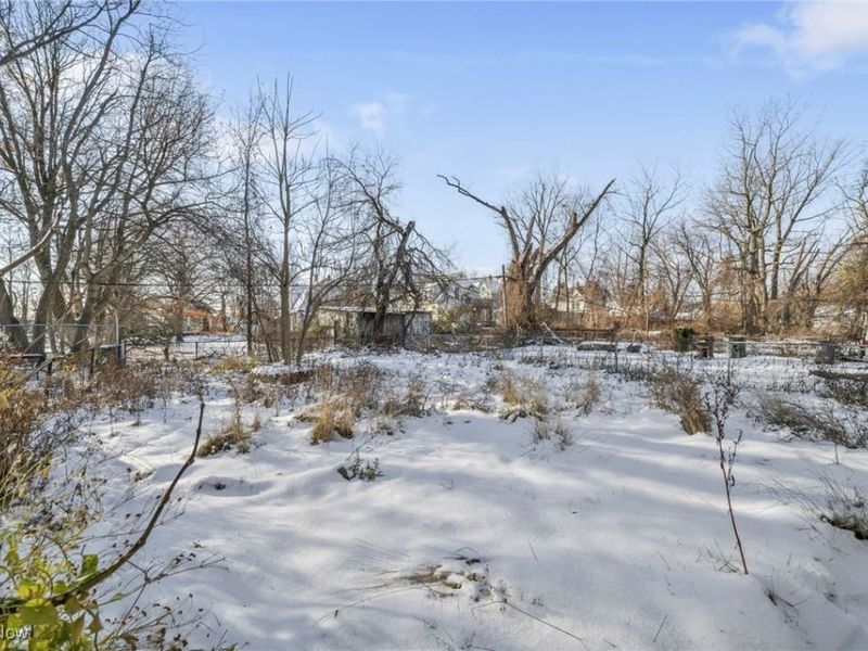 14410 Darwin Avenue, Cleveland, OH 44110 Photo 4