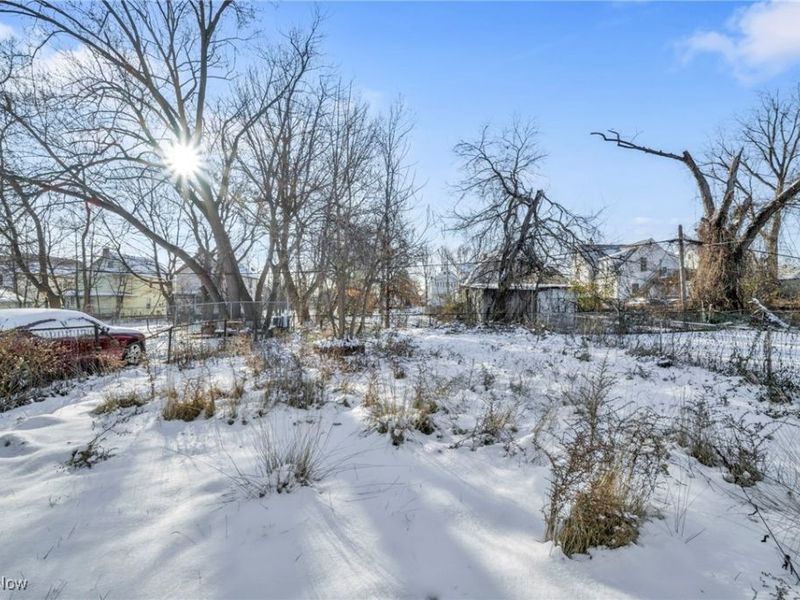 14410 Darwin Avenue, Cleveland, OH 44110 Photo 5