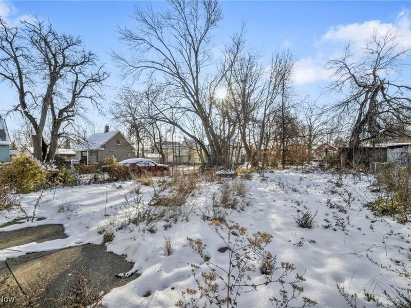 14410 Darwin Avenue, Cleveland, OH 44110 Photo 6