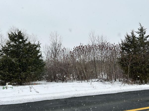 1614 66th Street, Fennville, MI 49408