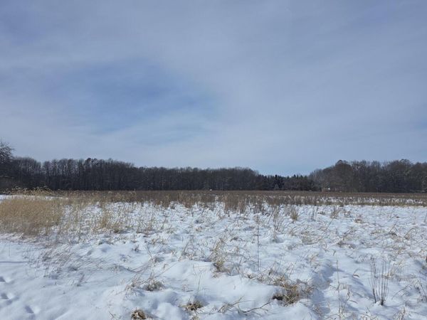 0 Dunn Road, Haslett, MI 48840