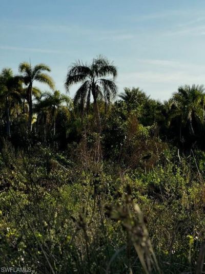 7465, 7448, 7421 Max Dr, Bokeelia, FL 33922 Photo