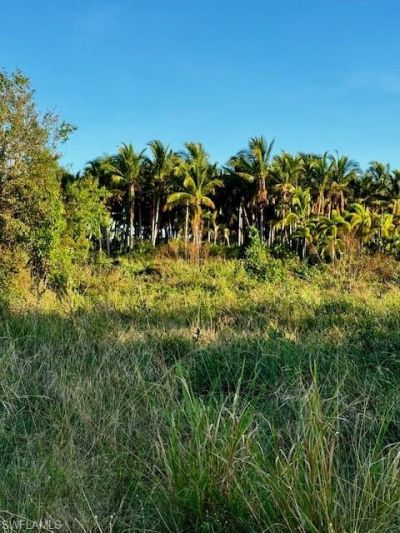 7465, 7448, 7421 Max Dr, Bokeelia, FL 33922 Photo