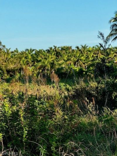 7465, 7448, 7421 Max Dr, Bokeelia, FL 33922 Photo