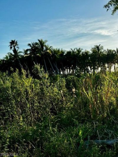 7465, 7448, 7421 Max Dr, Bokeelia, FL 33922 Photo