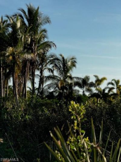 7465, 7448, 7421 Max Dr, Bokeelia, FL 33922 Photo