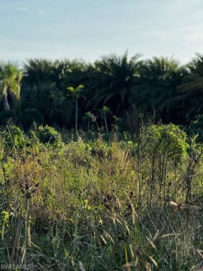 7465, 7448, 7421 Max Dr, Bokeelia, FL 33922 Photo