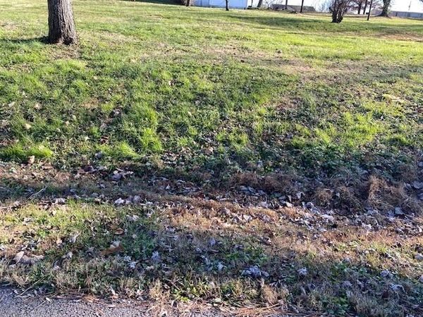 Lot 1 Goose Hollow Street, Drakesboro, KY 42337