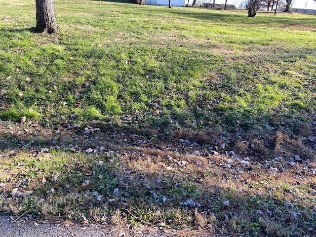 Lot 1 Goose Hollow Street, Drakesboro, KY 42337 Main Photo