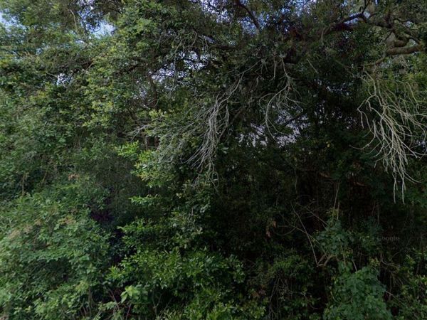 3288/3302 E ALISA LANE, INVERNESS, FL 34453