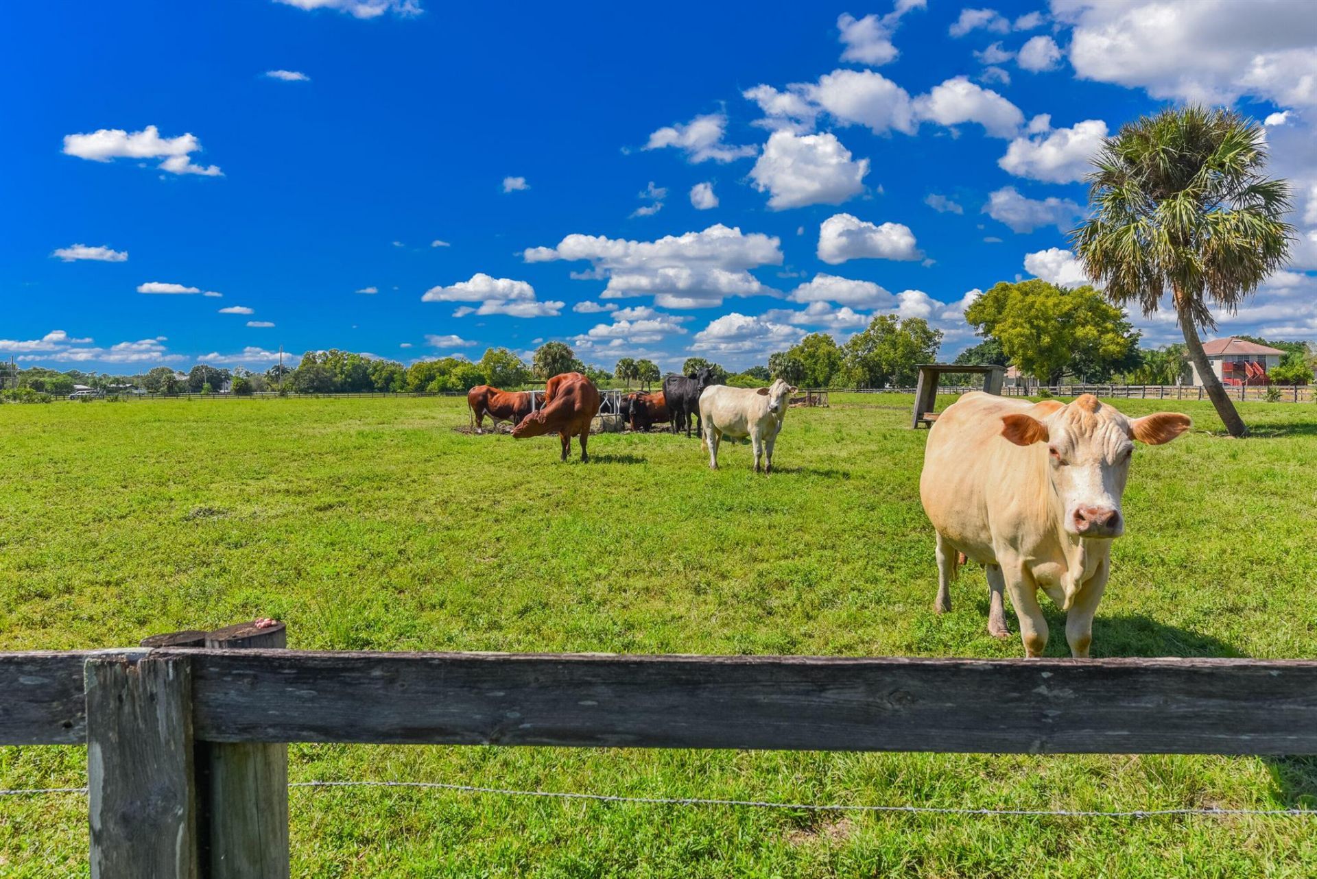 5205 SW Honey Terrace, Palm City, FL 34990 Photo