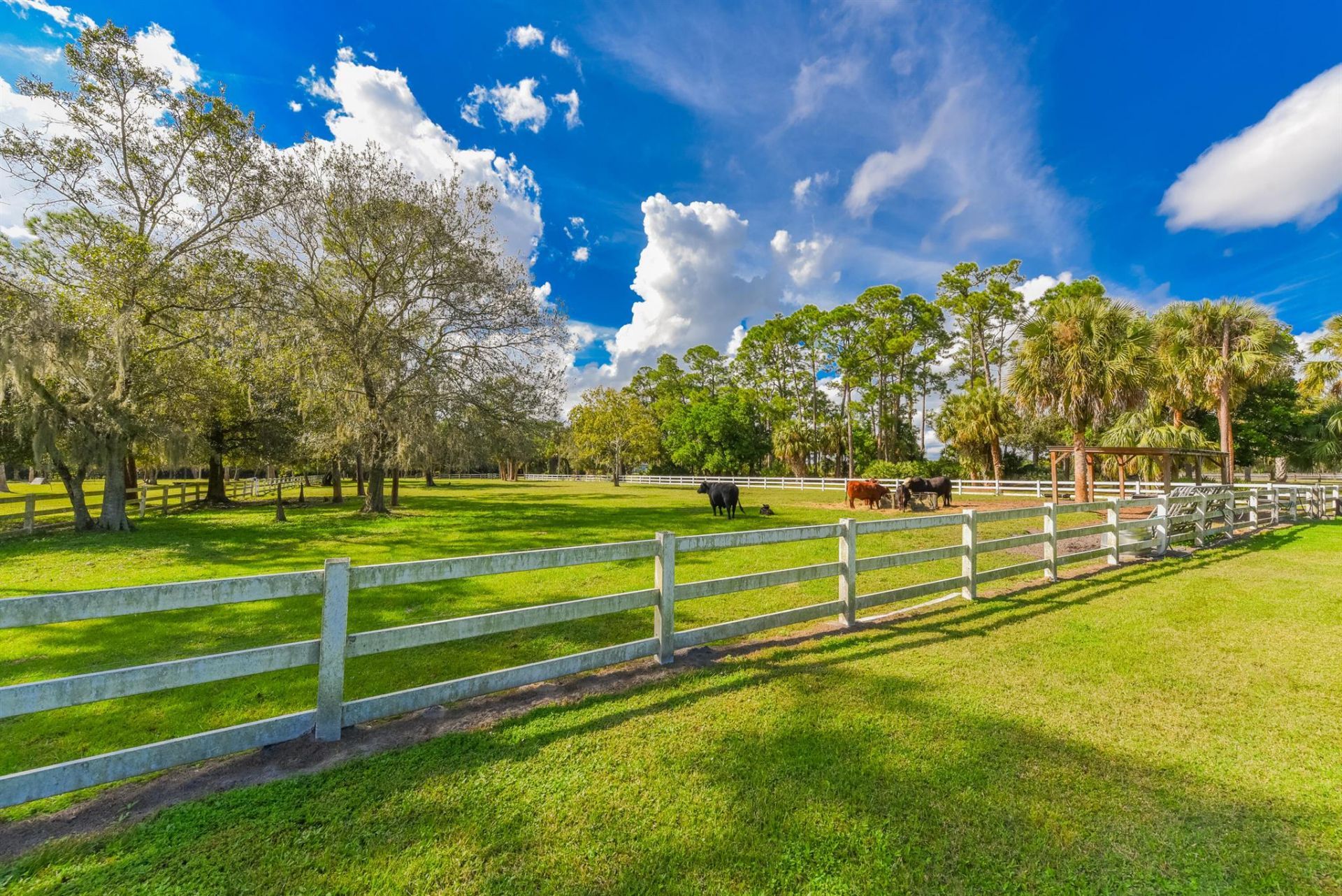 5205 SW Honey Terrace, Palm City, FL 34990 Photo