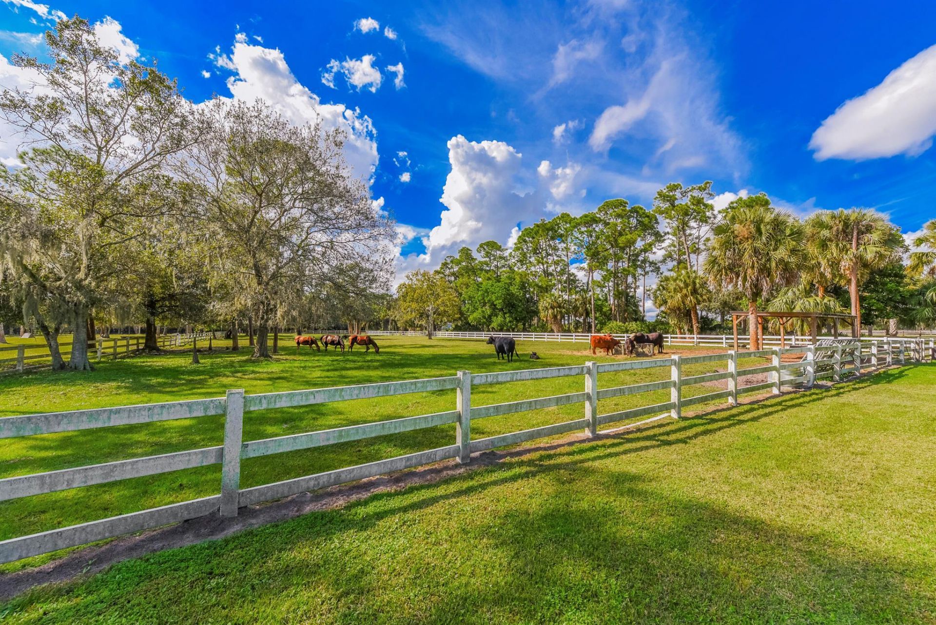 5205 SW Honey Terrace, Palm City, FL 34990 Photo