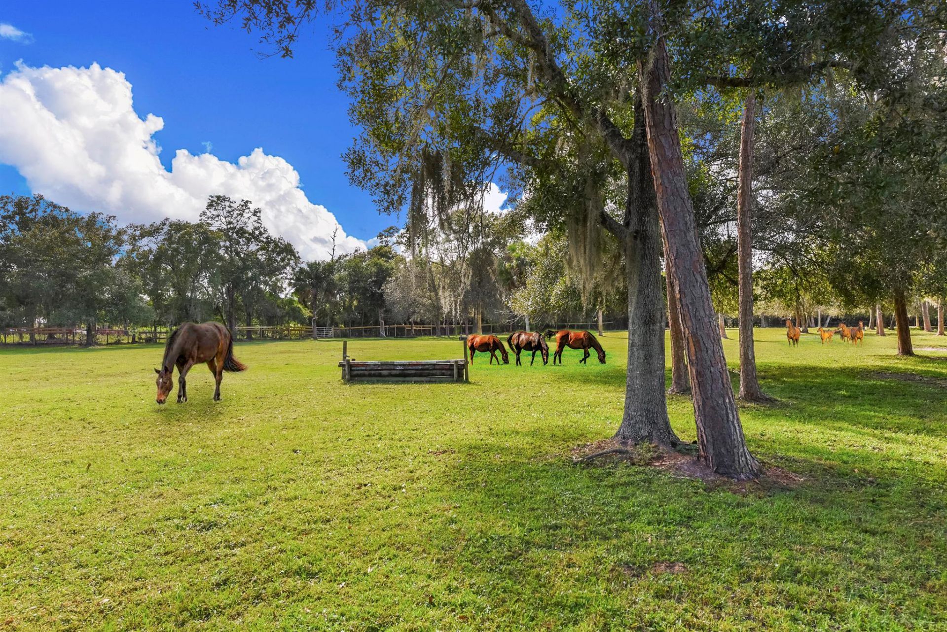 5205 SW Honey Terrace, Palm City, FL 34990 Photo