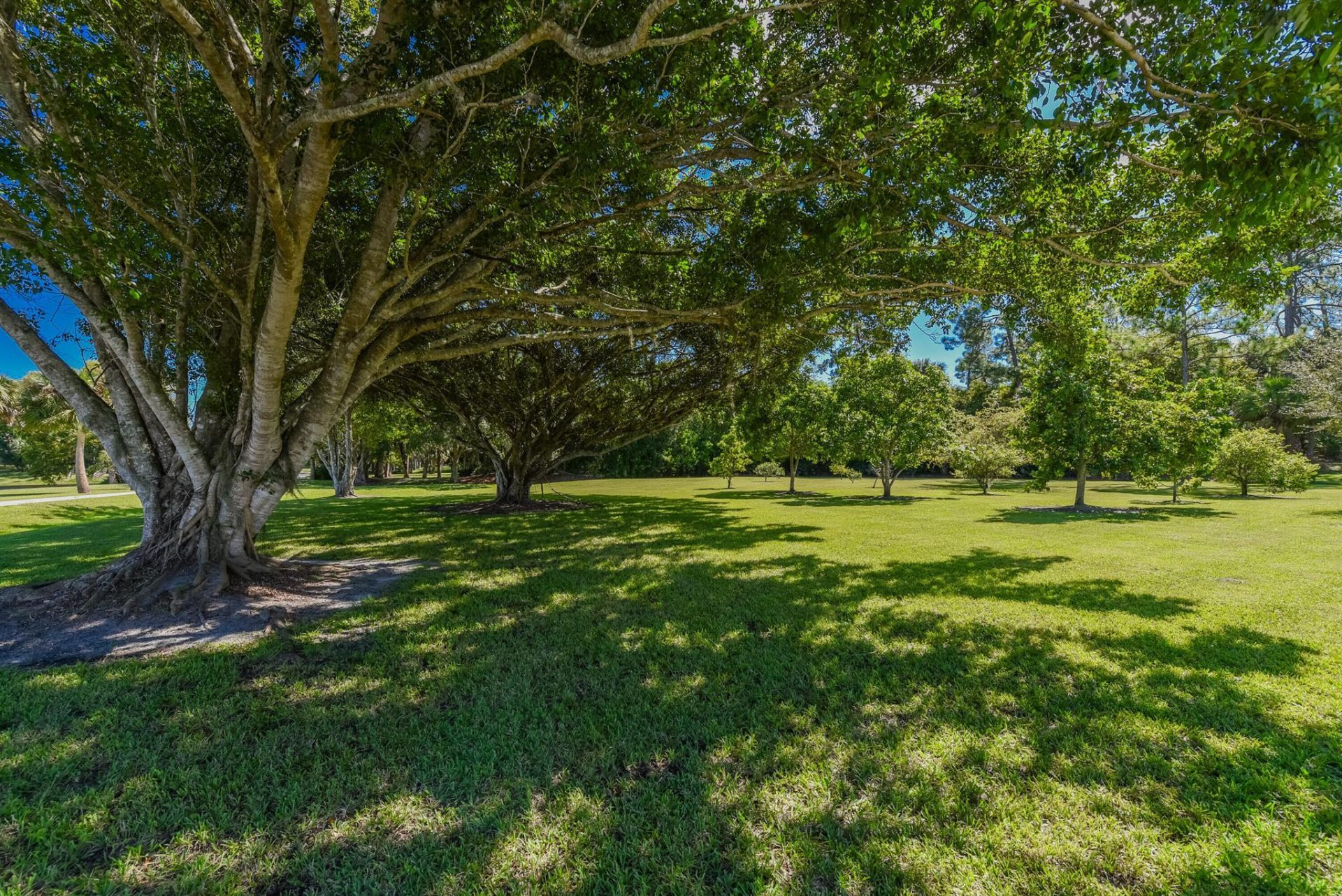 5205 SW Honey Terrace, Palm City, FL 34990 Photo