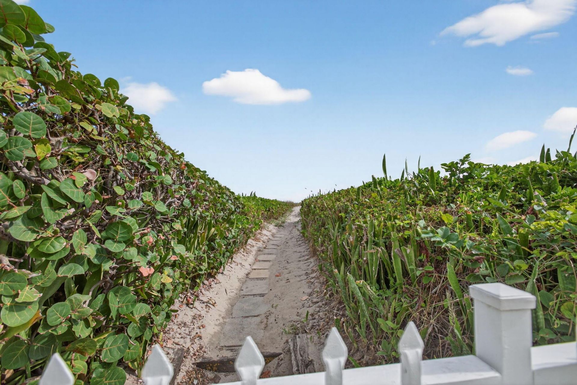 3600 N Ocean Drive, Unit 322, Singer Island, FL 33404 Photo