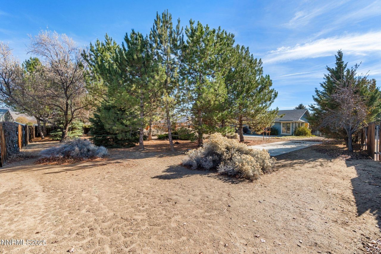 391 Taryn Drive, Spanish Springs, NV 89436 Photo