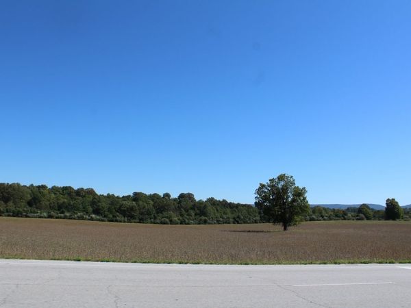 0 Old Wells Rd, Unit 1, Morrison, TN 37357